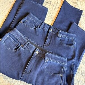 Blair Fleece-Lined Dark Wash Skinny Jeans Bundle (2 Pairs) – Size 14 P